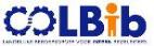 lbib logo